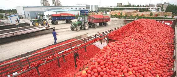 中國推動構(gòu)建共贏、互信、發(fā)展的新絲綢之路