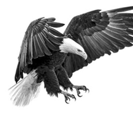 誰是世界秩序的真正破壞者？