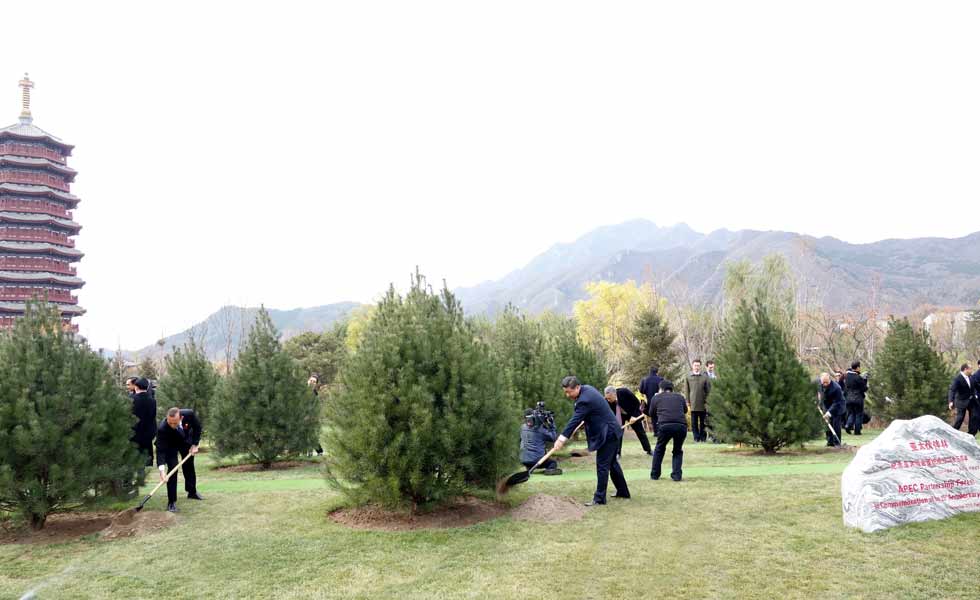 出席亞太經合組織領導人非正式會議的各成員經濟體領導人或代表共植亞太伙伴林