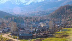 新疆白哈巴村鋪&ldquo;綠毯&rdquo;展清新脫俗之美