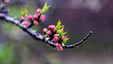 隨心而行，走走停停始終精彩。