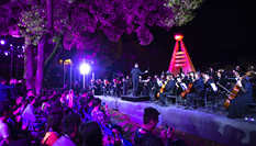 校園里的&ldquo;森林音樂(lè)會(huì)&rdquo;