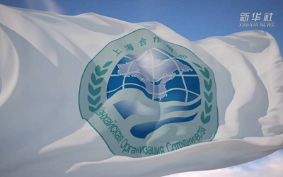 你好，上合！