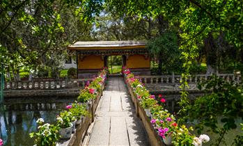 拉薩&ldquo;花房&rdquo;&mdash;&mdash;羅布林卡