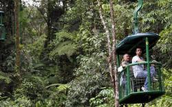 關(guān)注環(huán)境：哥斯達(dá)黎加 綠色國(guó)度生態(tài)游(組圖)