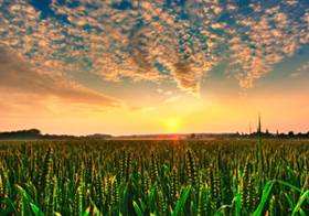 世界瑰麗夕陽(yáng)美景